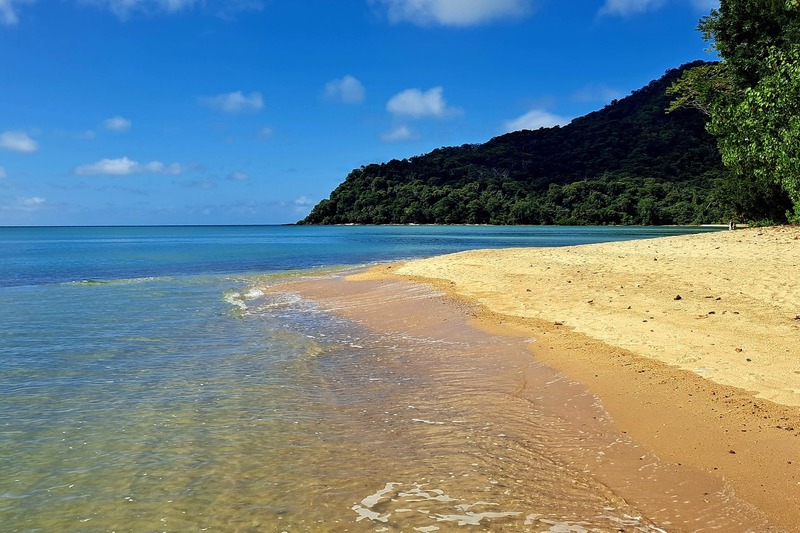 Cassowary Beach will welcome Amazons Australia