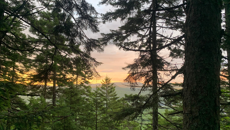 Vermont woods