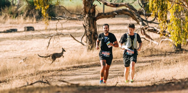 Total Recon Total Recon