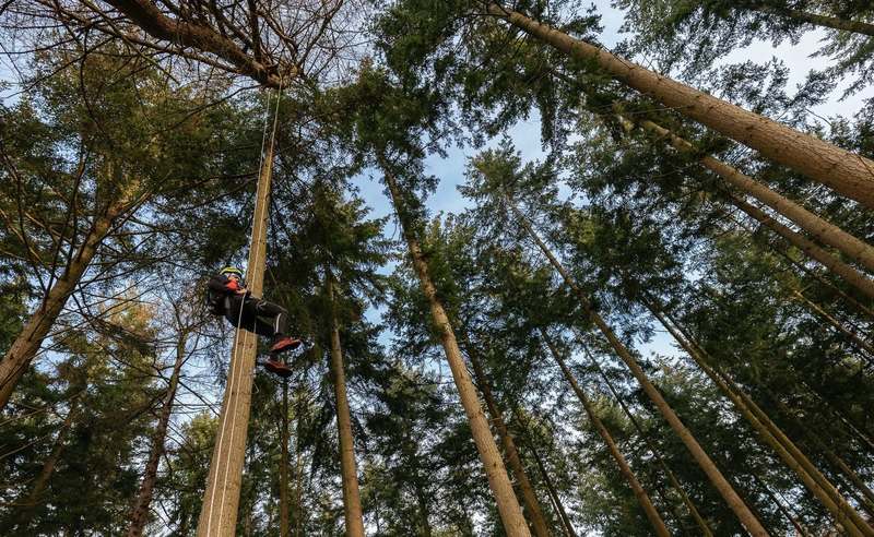 Vertical orienteering